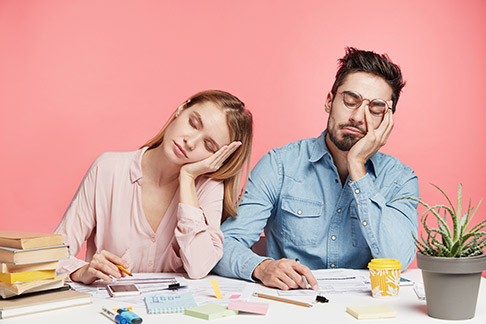 Ripresa degli studi e il lavoro